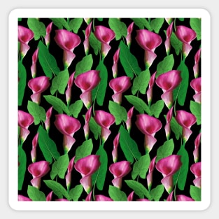 Watercolor Calla Lily Pattern Sticker